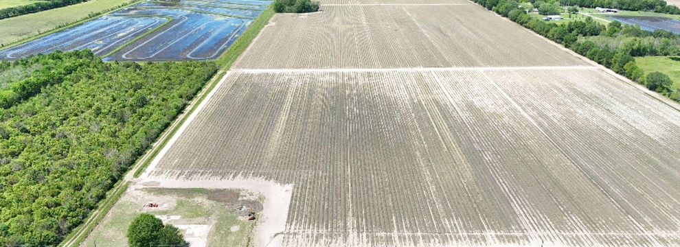 Property for sale in Acadia Parish, Louisiana