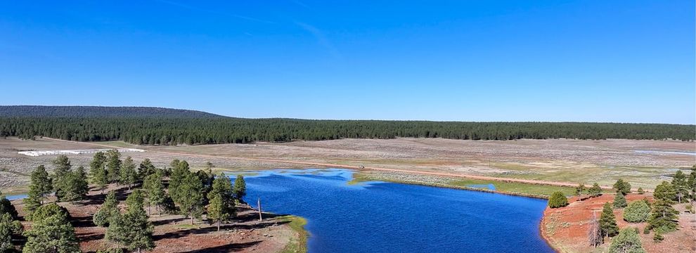 Undeveloped Land for sale in Cibola County, New Mexico
