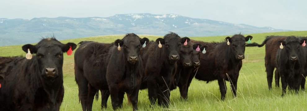 Ranch Property for sale in Moffat County, Colorado