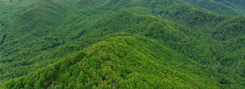 Property for sale in Buncombe County, North Carolina
