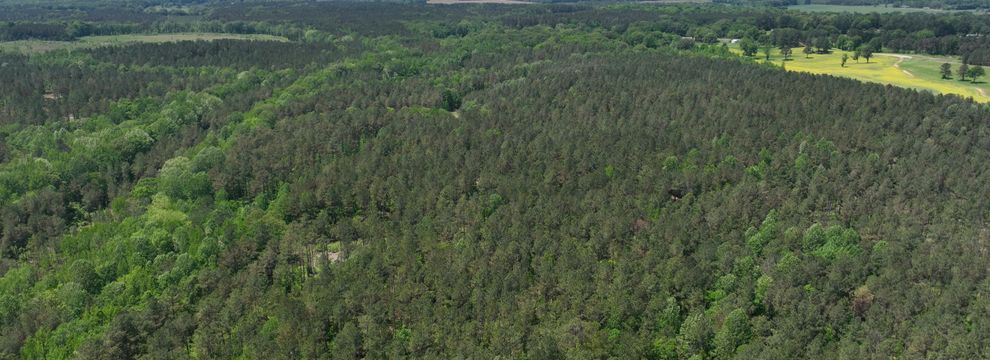 Property for sale in Alcorn County, Mississippi