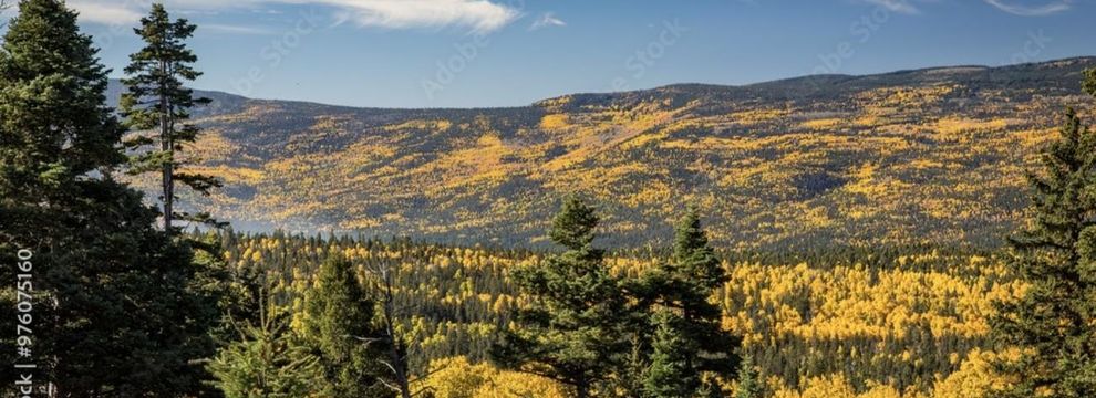 Property for sale in Colfax County, New Mexico