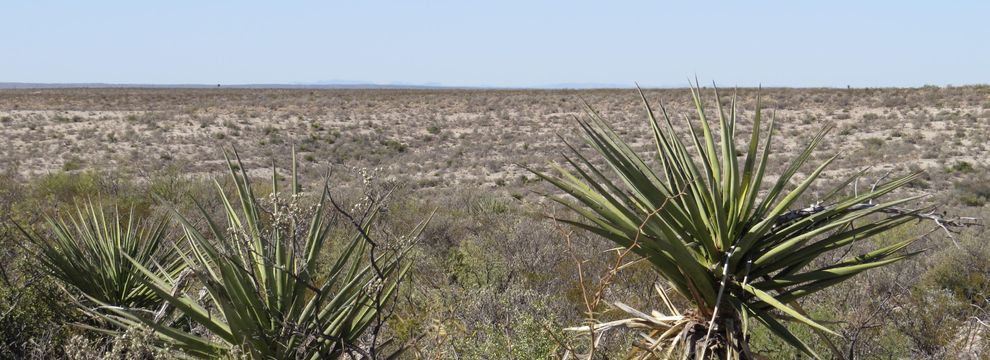 Undeveloped Land for sale in Terrell County, Texas