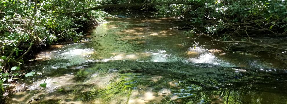 Undeveloped Land for sale in Rutherford County, North Carolina