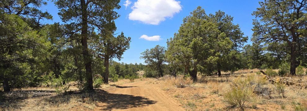 Recreational Property for sale in Cibola County, New Mexico