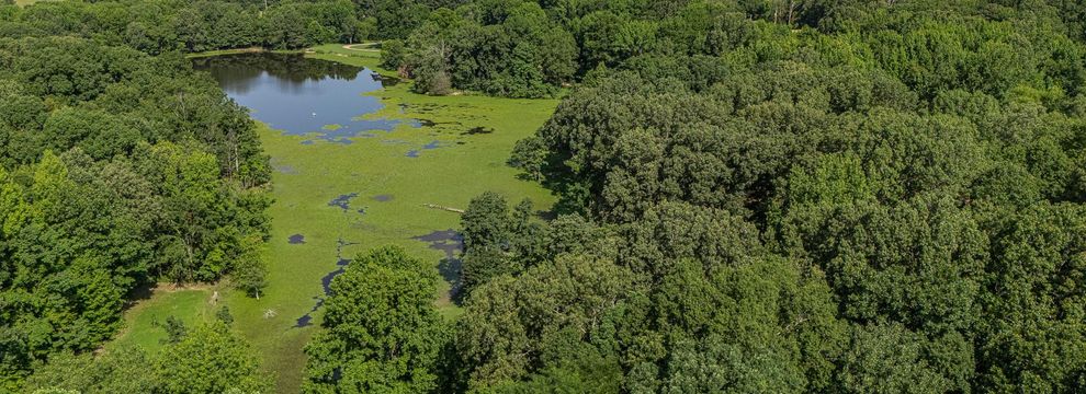 Property for sale in Cross County, Arkansas