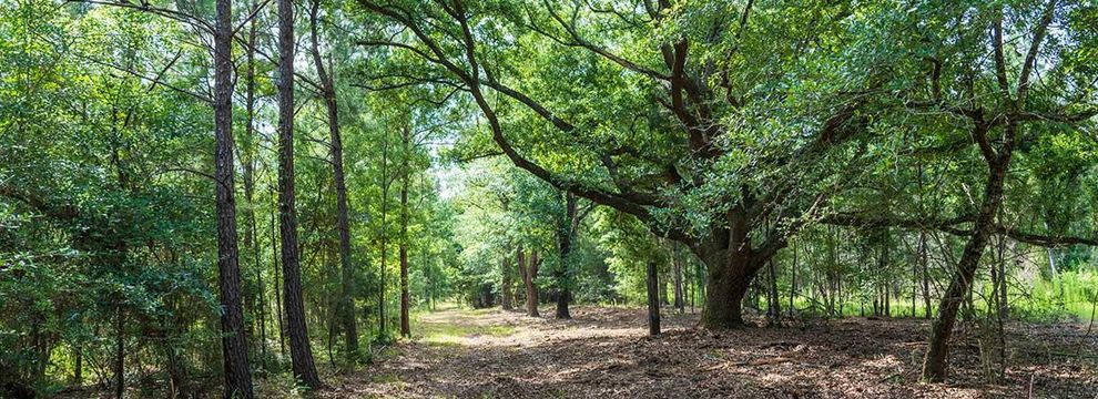 Property for sale in Jackson County, Florida