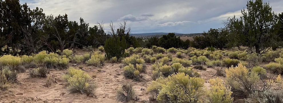 Recreational Property for sale in Apache County, Arizona