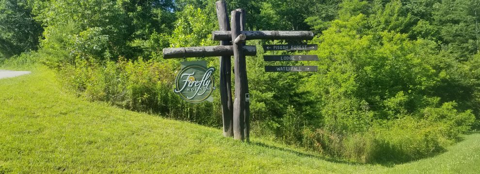 Undeveloped Land for sale in Madison County, North Carolina