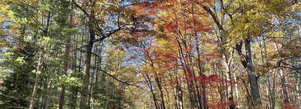 Property for sale in Kalkaska County, Michigan