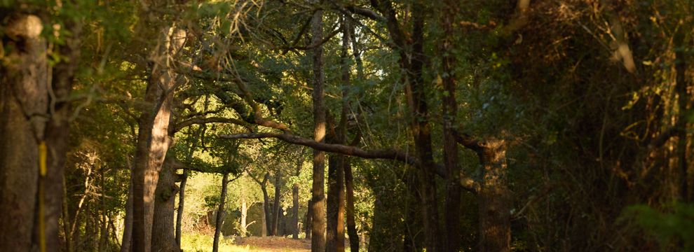 Recreational Property for sale in Milam County, Texas