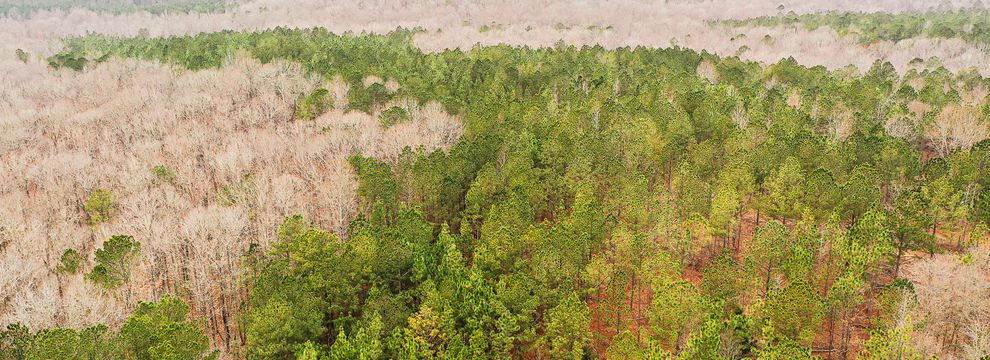 Timberland Property for sale in Heard County, Georgia