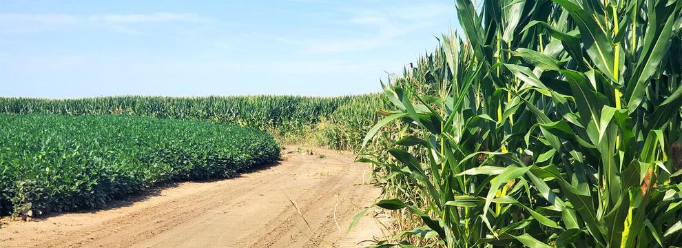 Recreational Property for sale in Coahoma County, Mississippi