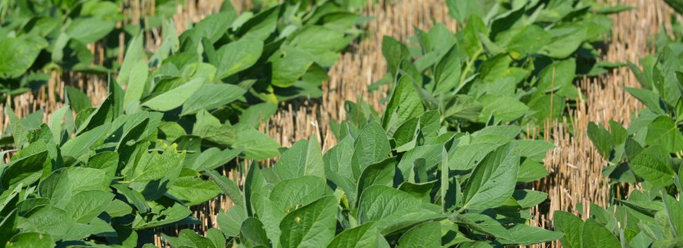 Property for sale in Osage County, Kansas