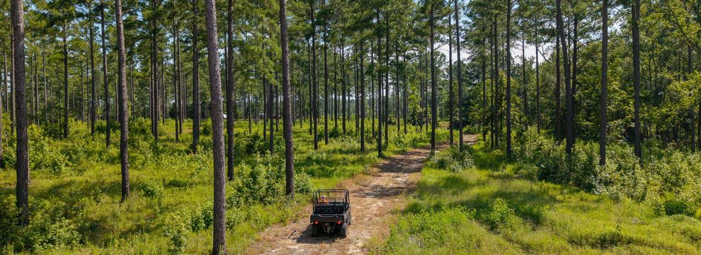 Property for sale in Tattnall County, Georgia