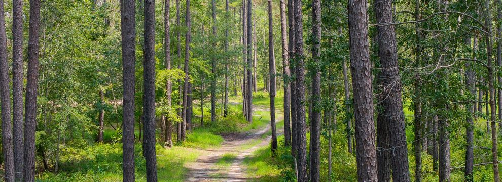 Property for sale in Tattnall County, Georgia