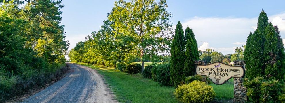 Property for sale in Lee County, Georgia