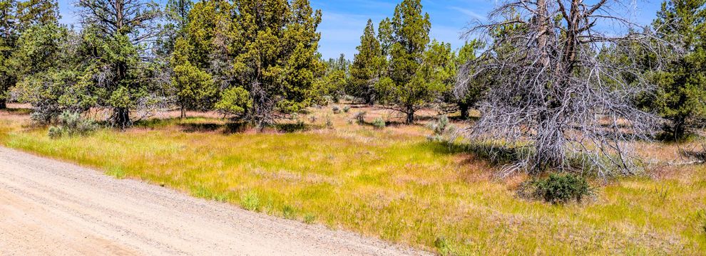 Property for sale in Modoc County, California