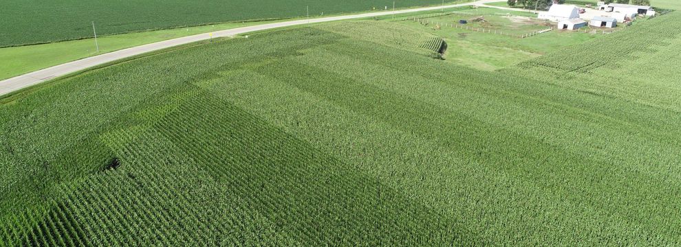 Property for sale in Nobles County, Minnesota
