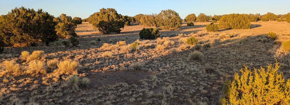 Recreational Property for sale in Apache County, Arizona