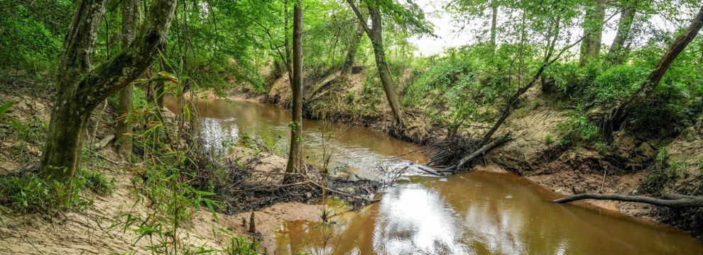 Property for sale in Sabine County, Texas