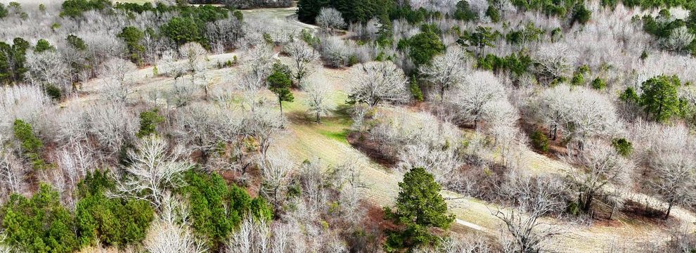 Property for sale in Clarendon County, South Carolina