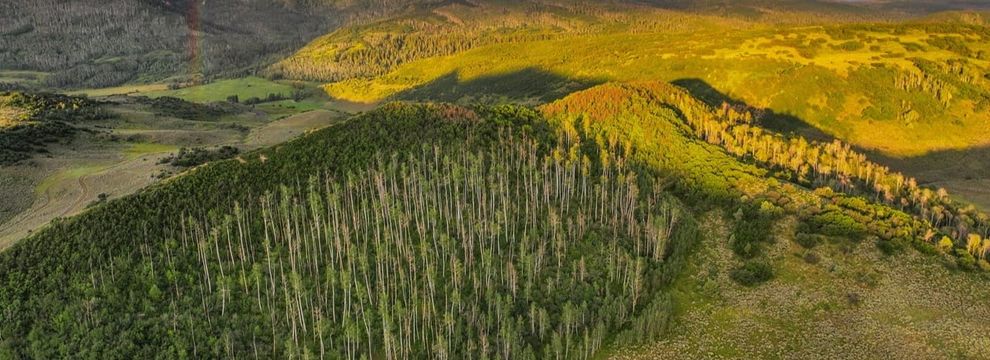 Property for sale in Gunnison County, Colorado