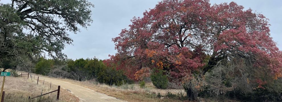 Hunting Land for sale in Kimble County, Texas