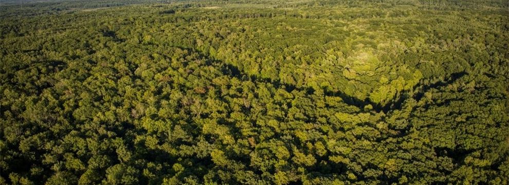 Property for sale in Sawyer County, Wisconsin