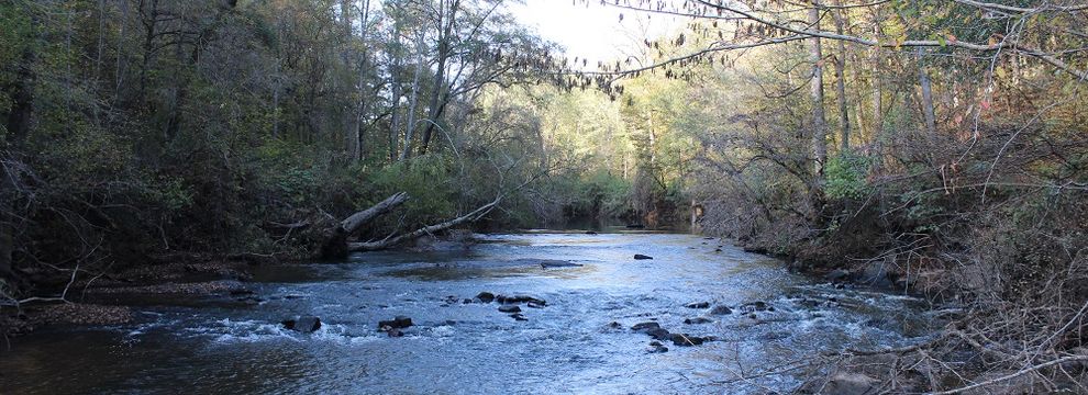 Hunting Land for sale in Upson County, Georgia