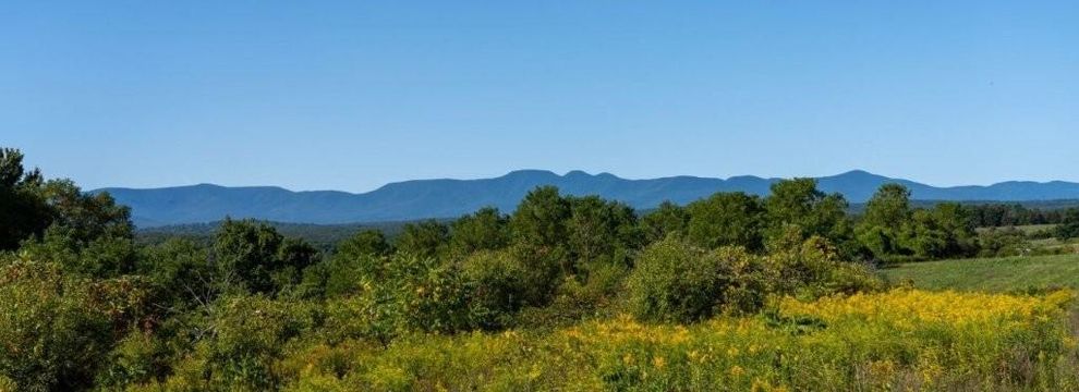 Residential Property for sale in Greene County, New York