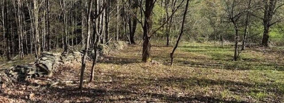 Residential Property for sale in Broome County, New York