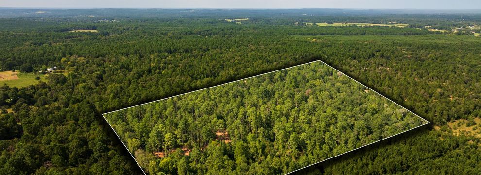 Timberland Property for sale in Anderson County, Texas