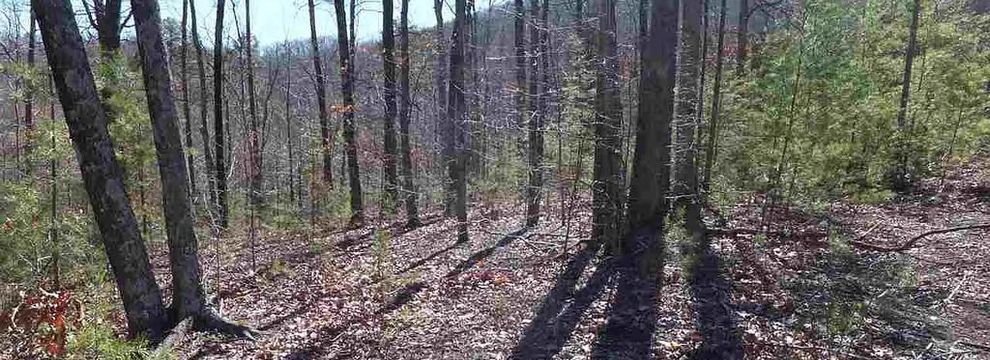 Residential Property for sale in Cocke County, Tennessee
