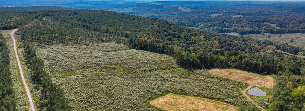 Property for sale in Livingston County, Kentucky