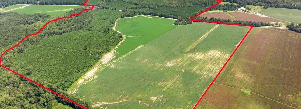 Hunting Land for sale in Screven County, Georgia