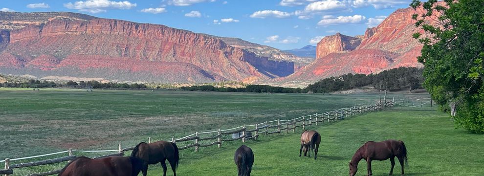 Property for sale in Mesa County, Colorado