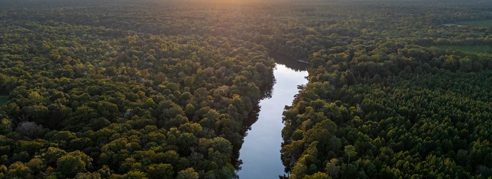 Riverfront Property for sale in Worth County, Georgia