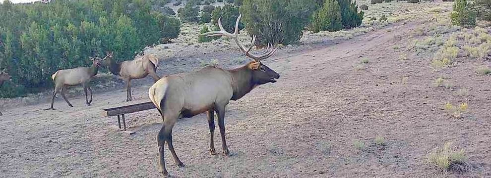 Property for sale in Catron County, New Mexico