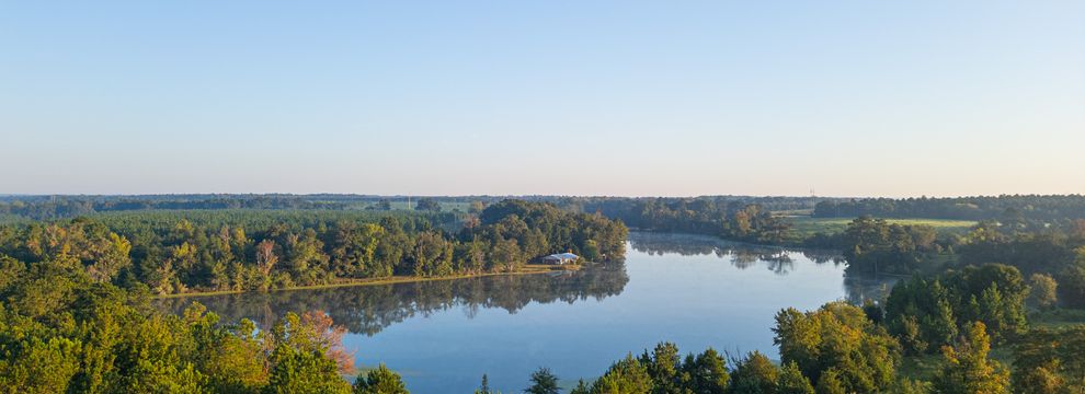 Lakefront Property for sale in Taylor County, Georgia