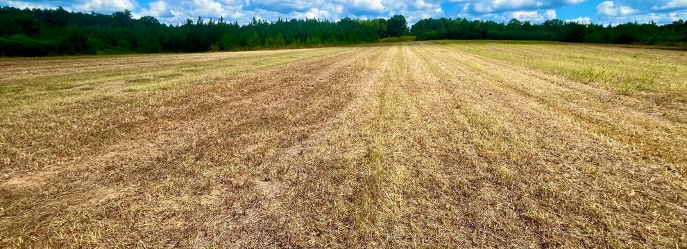 Property for sale in Bullock County, Alabama