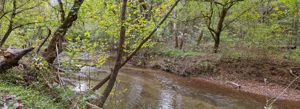 Property for sale in Monroe County, Tennessee