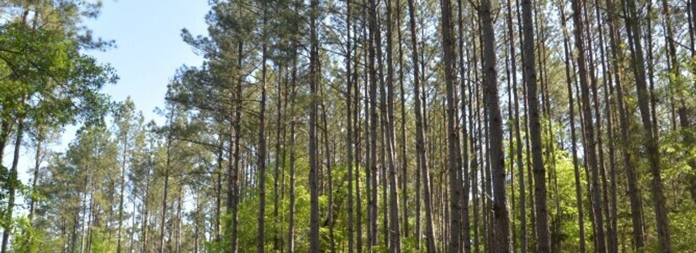 Property for sale in Chester County, South Carolina