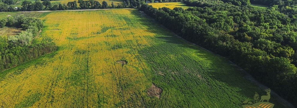 Farm Property for sale in Franklin County, Illinois