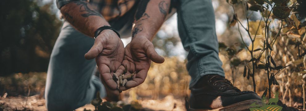 Property for sale in Franklin County, Illinois