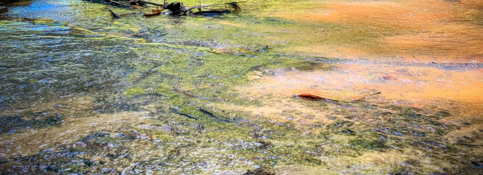 Property for sale in Shelby County, Texas