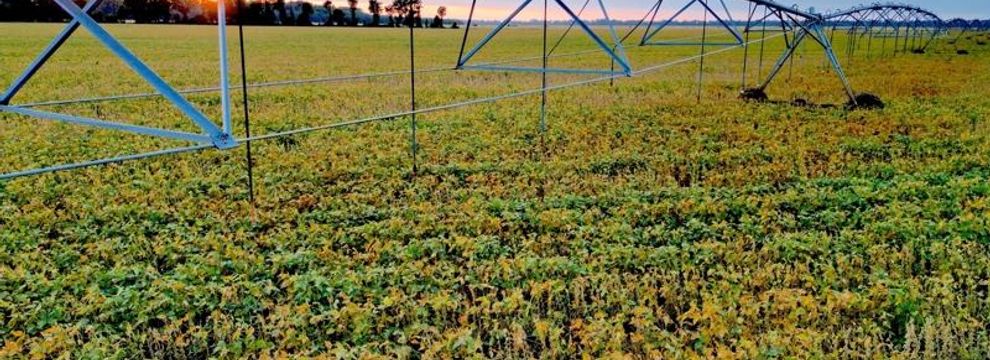 Property for sale in Madison Parish, Louisiana