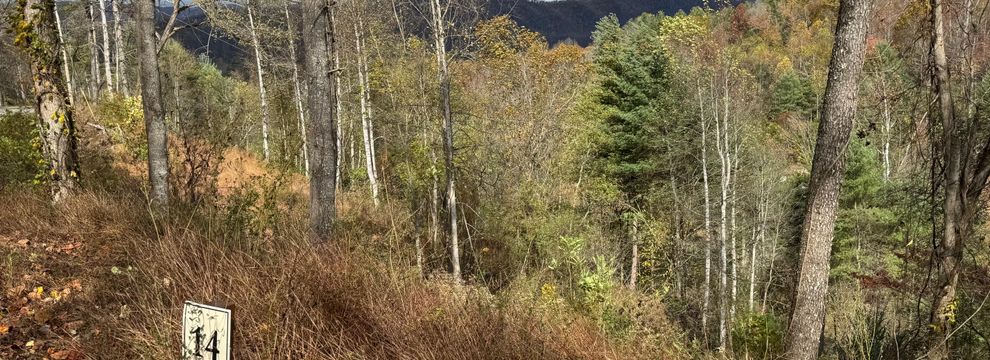 Property for sale in Johnson County, Tennessee