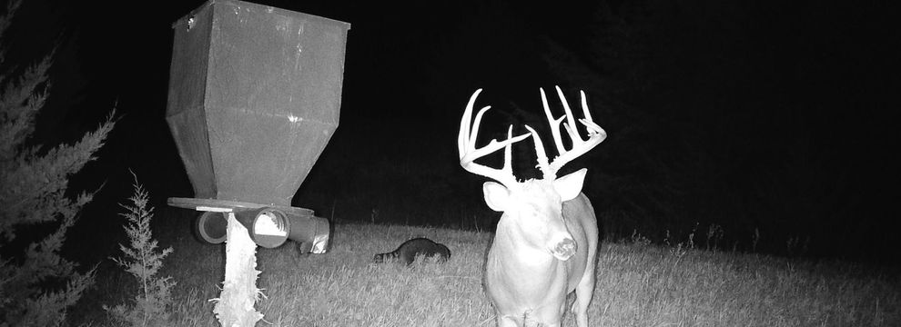 Property for sale in Jewell County, Kansas