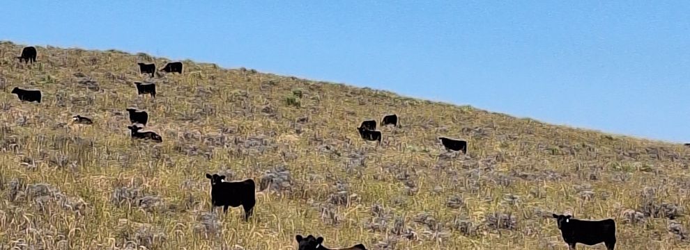 Ranch Property for sale in Yuma County, Colorado